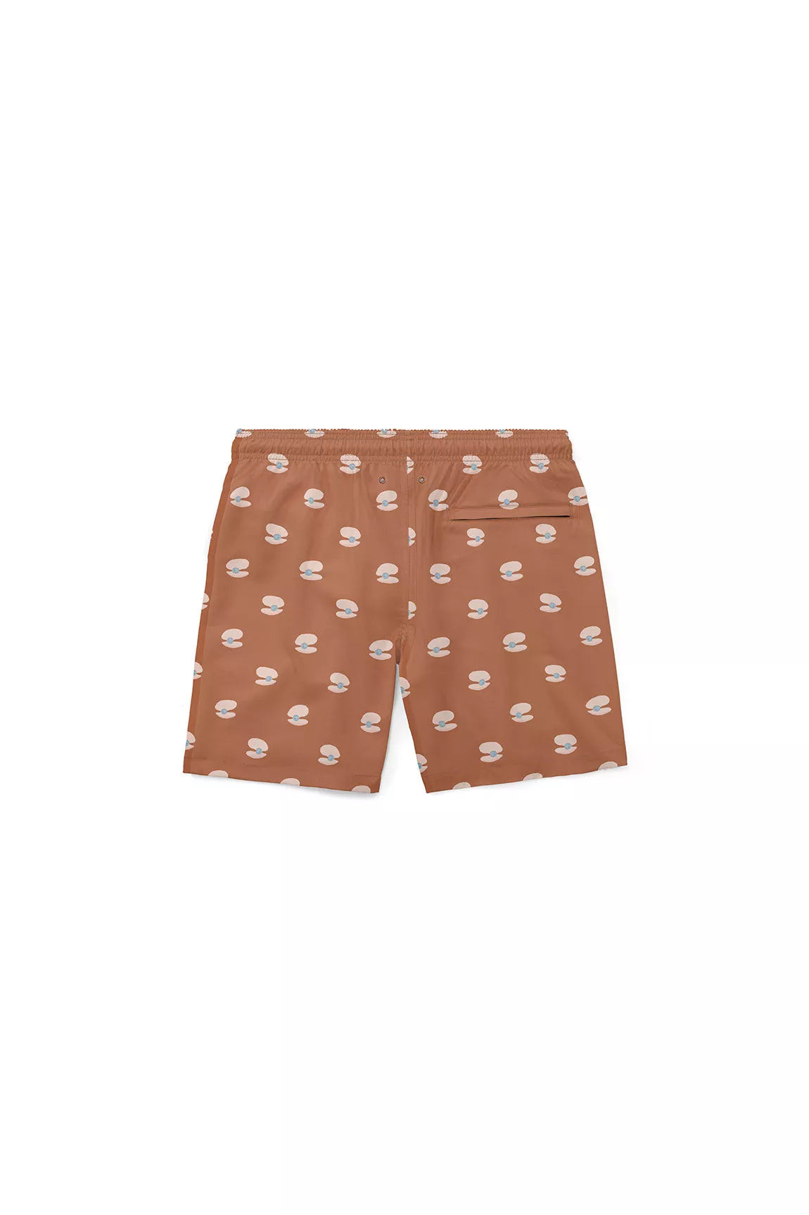 The Shell Shorts